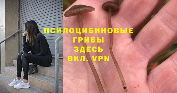 каннабис Алексин
